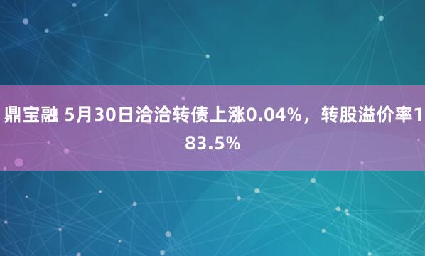 鼎宝融 5月30日洽洽转债上涨0.04%,转股溢价率183.5%