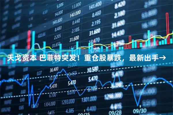 天戈资本 巴菲特突发!重仓股暴跌,最新出手→