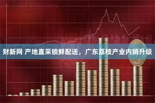 财新网 产地直采锁鲜配送,广东荔枝产业内销升级
