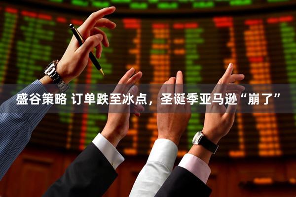 盛谷策略 订单跌至冰点，圣诞季亚马逊“崩了”