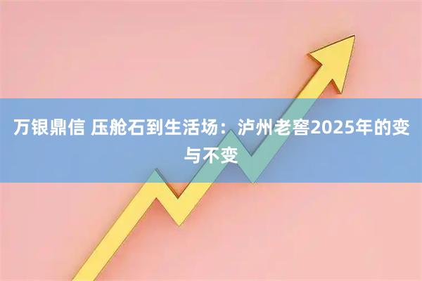 万银鼎信 压舱石到生活场：泸州老窖2025年的变与不变